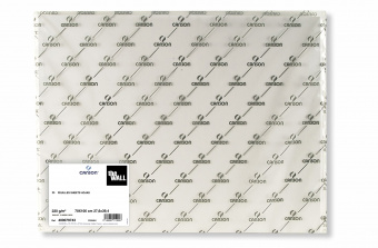 Canson Бумага для маркера The Wall, 220 г/м2, 70*100 см, 25 л/упак (цена за лист)