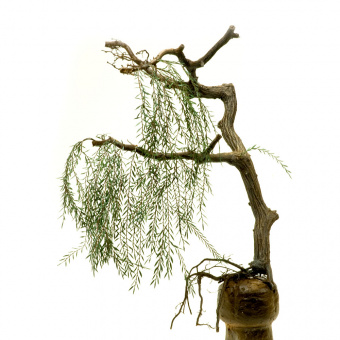 MiniWarPaint Ветви ивы, размер M