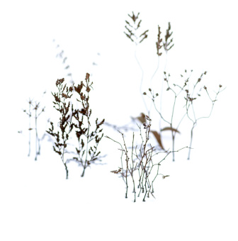 MiniWarPaint Зимние ветки, размер M