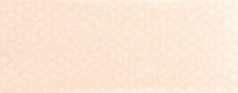 Пастель сухая PanPastel 740.8 Burnt Sienna Tint (Жженая сиена светлая)