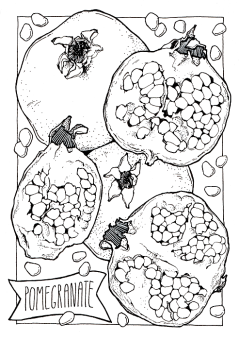 Sketchmarker Книга-раскраска на акварельной бумаге CITRUS