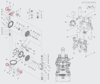 Iwata 06990413 Вилка шестигранная насоса DDP120B