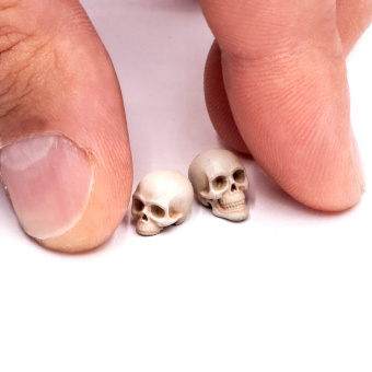 Miniwarpaint Черепа человеческие, размер L, 10 шт.