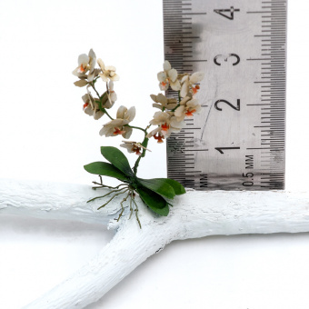 MiniWarPaint Орхидея, размер L