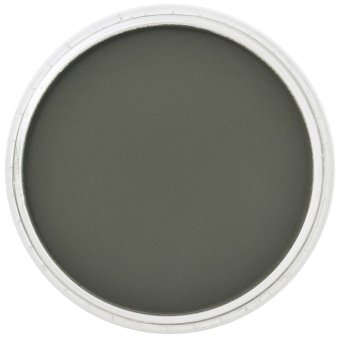 Пастель сухая PanPastel 660.1 Chromium Green Extra Dark (Хромовый зеленый экстра темный)