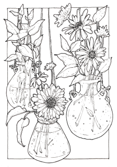 Sketchmarker Книга-раскраска на акварельной бумаге COLORED DREAMS