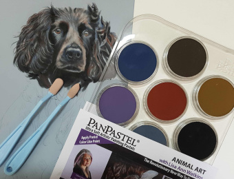 Набор PanPastel Animal Art Kit – Lisa Ann Watkins (10 цветов)