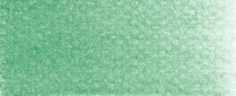 Пастель сухая PanPastel 640.5 Permanent Green (Перманентный зеленый)