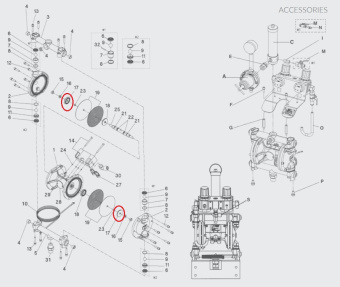 Iwata 94448630 Держатель диафрагмы (внешний) DDP120B