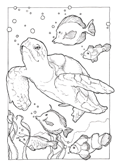 Sketchmarker Книга-раскраска на акварельной бумаге ANIMALS