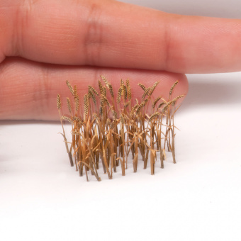 MiniWarPaint Пшеница, размер М