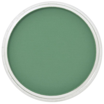 Пастель сухая PanPastel 640.3 Permanent Green Shade (Перманентный зеленый темный)