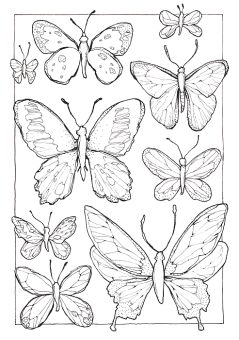 Sketchmarker Книга-раскраска на акварельной бумаге ANIMALS