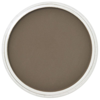 Пастель сухая PanPastel 780.3 Raw Umber Shade (Сырая умбра темная)