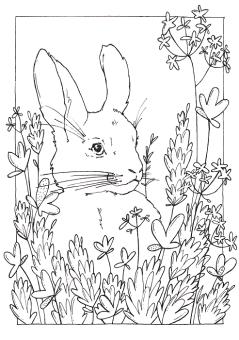 Sketchmarker Книга-раскраска на акварельной бумаге ANIMALS