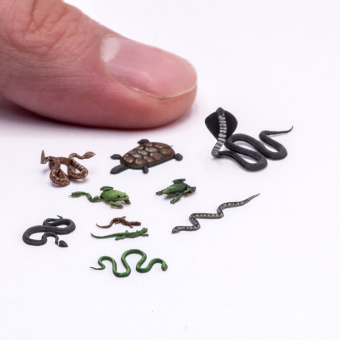 MiniWarPaint Рептилии, размер M