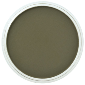 Пастель сухая PanPastel 680.1 Bright Yellow Green Extra Dark (Ярко-желтый зеленый экстра темный)